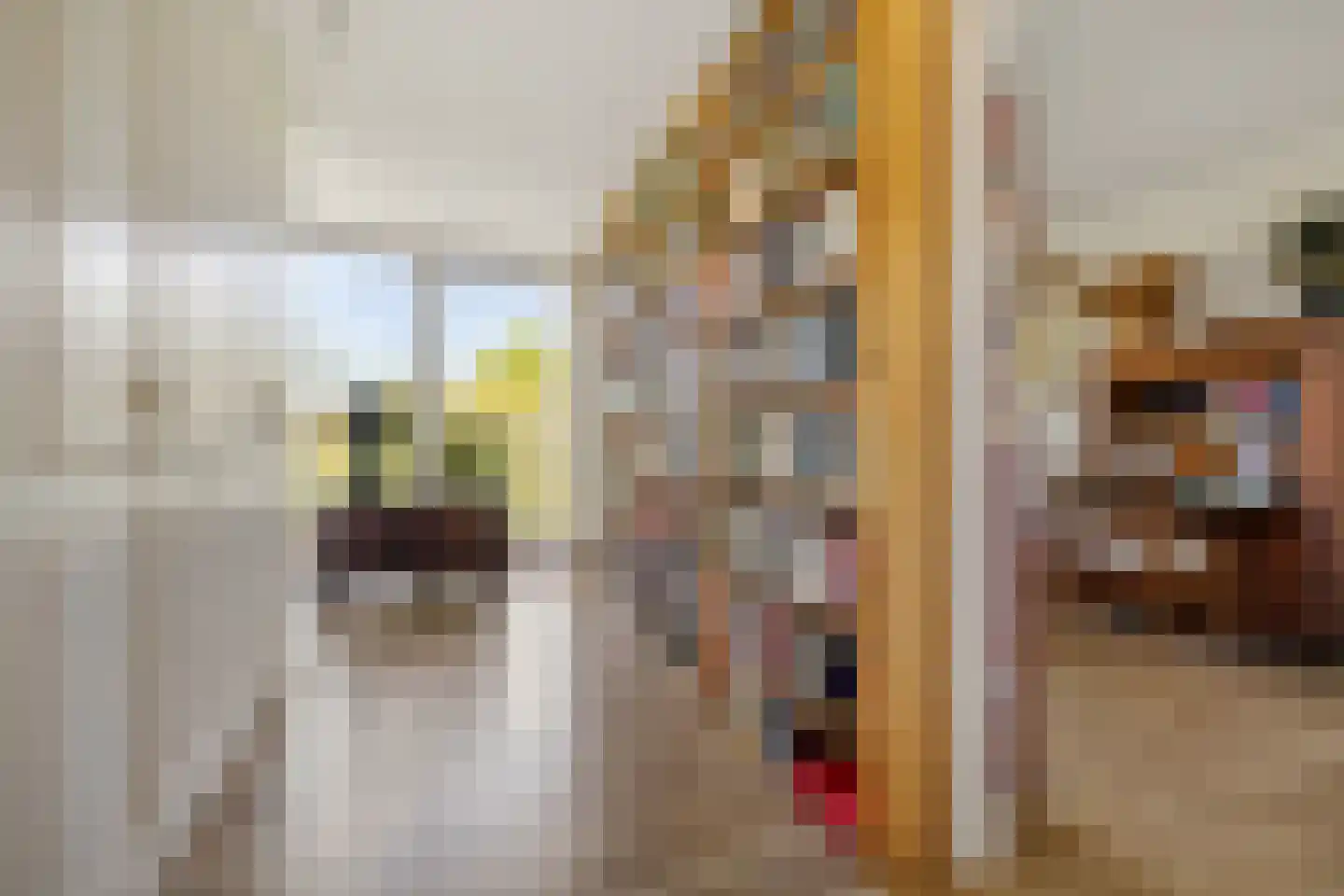 Lindelaan 49 Bussum thumbnail 17