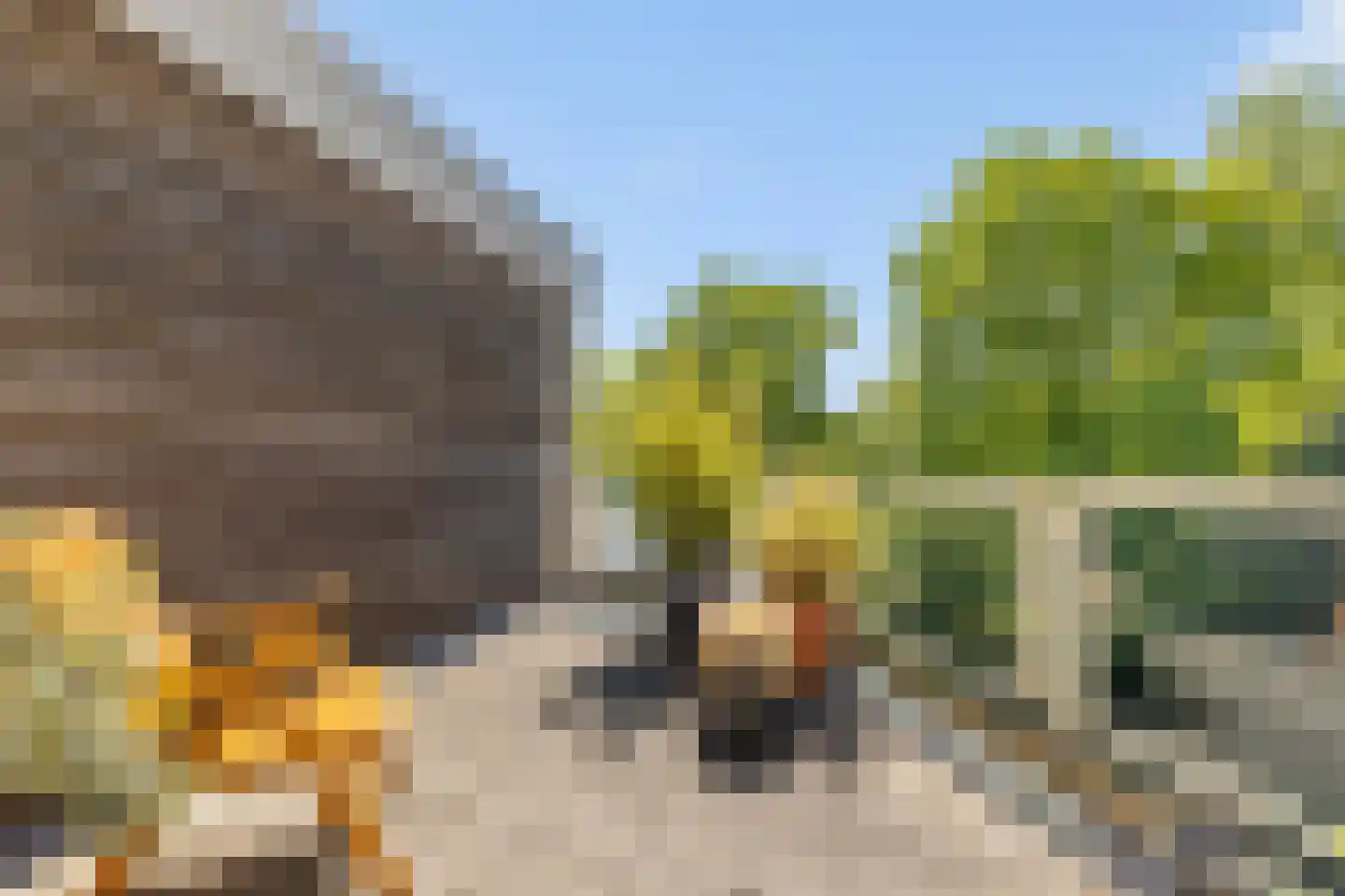 Lindelaan 49 Bussum thumbnail 29