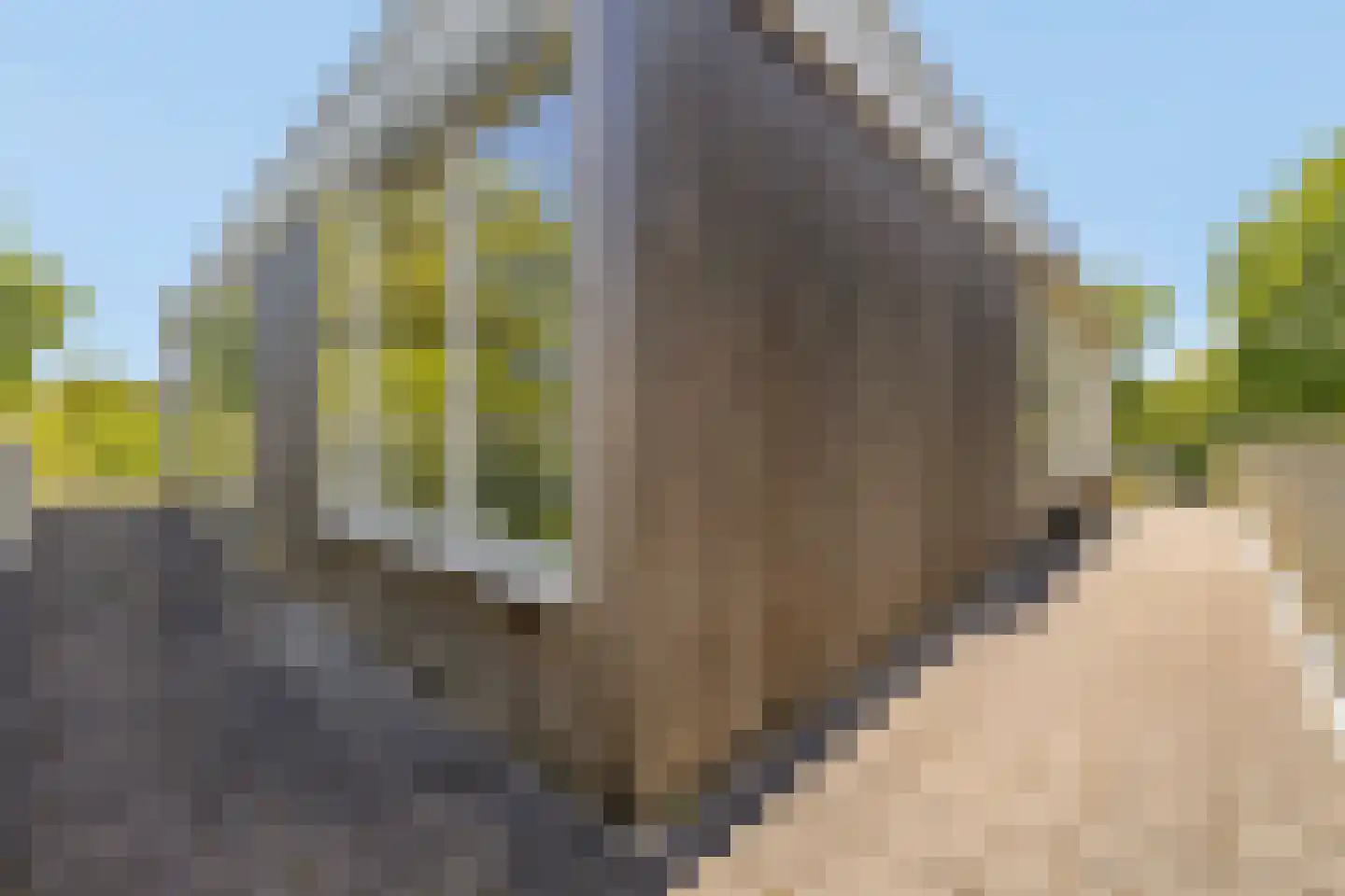 Lindelaan 49 Bussum thumbnail 32