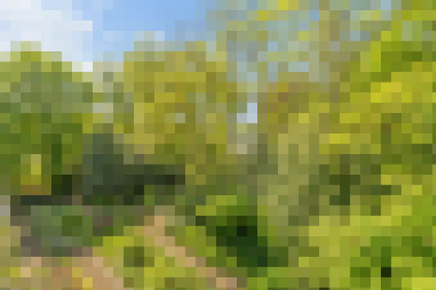 Lindelaan 49 Bussum thumbnail 36