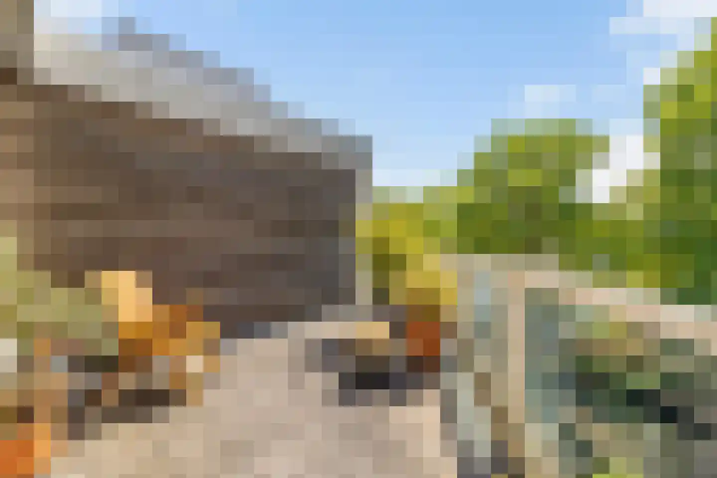 Lindelaan 49 Bussum thumbnail 37