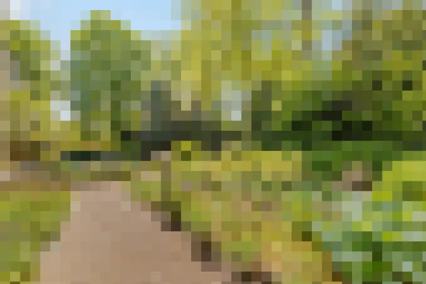 Lindelaan 49 Bussum thumbnail 42
