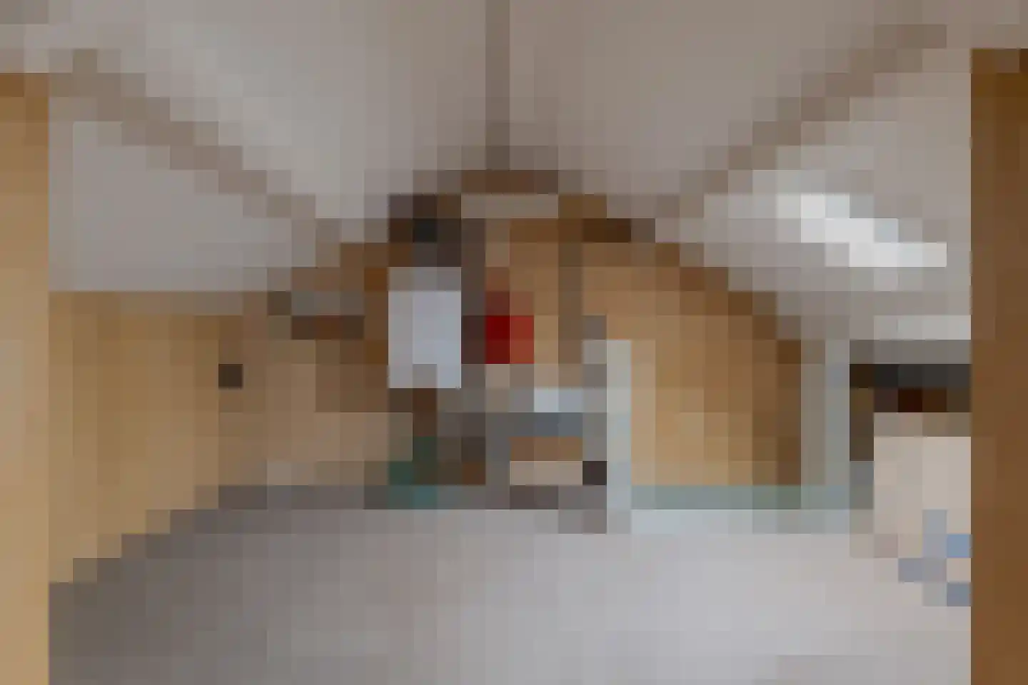 Lindelaan 55 Roden thumbnail 46