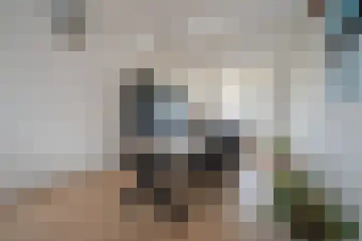 Lindelaan 59 a Rijswijk thumbnail 5