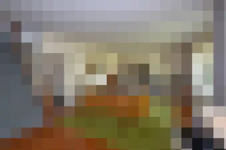 Lindelaan 6 Diepenheim thumbnail 10