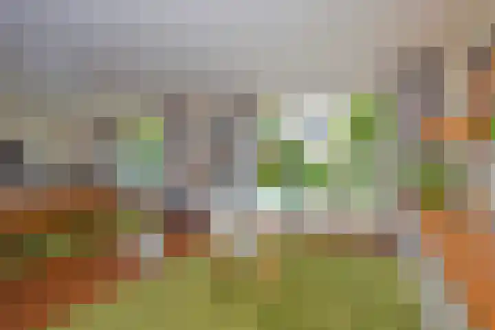 Lindelaan 6 Diepenheim thumbnail 12