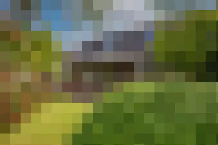 Lindelaan 6 Diepenheim thumbnail 4