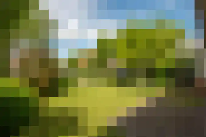 Lindelaan 6 Diepenheim thumbnail 42