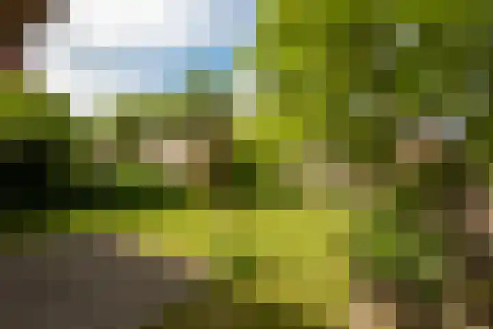 Lindelaan 6 Diepenheim thumbnail 43