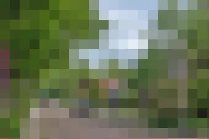 Lindelaan 6 Diepenheim thumbnail 44