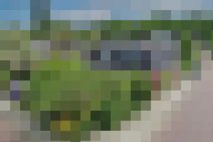 Lindelaan 6 Diepenheim thumbnail 5