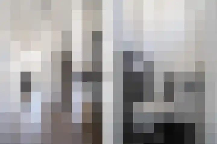 Lindelaan 6 Vuren thumbnail 5