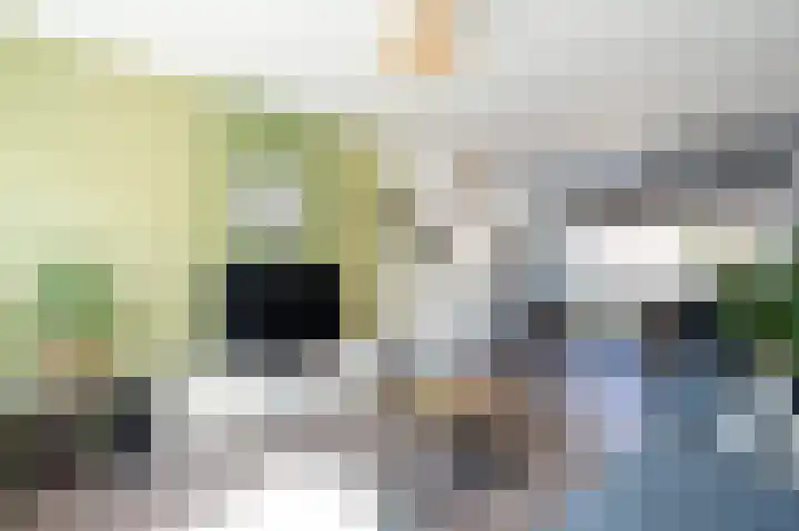 Lindelaan 6 Vuren thumbnail 6