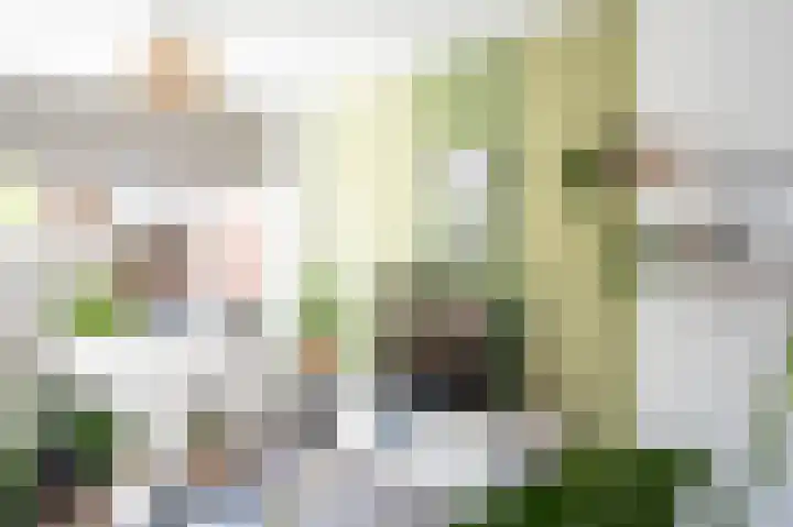 Lindelaan 6 Vuren thumbnail 8