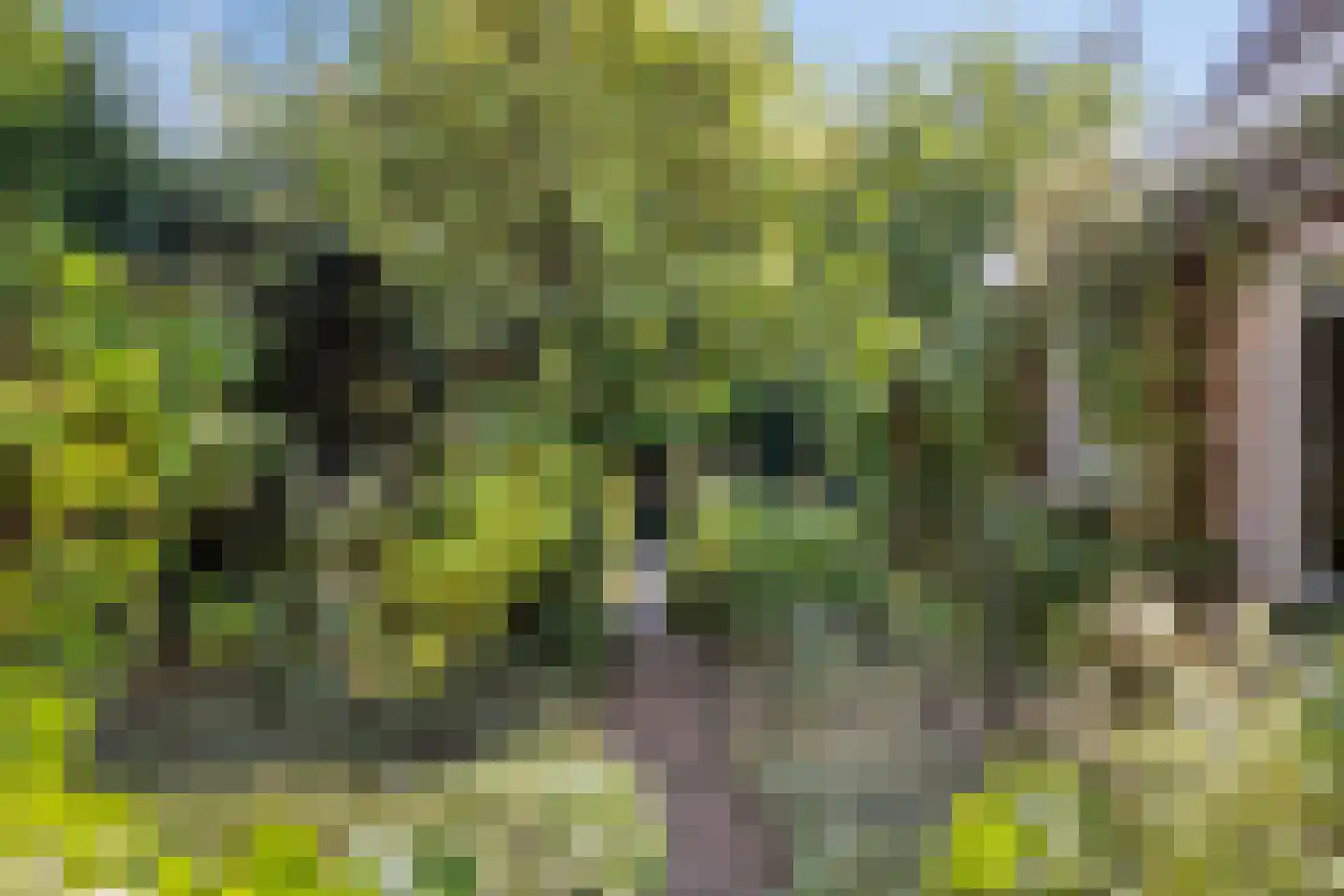 Lindelaan 68 Zwijndrecht thumbnail 21