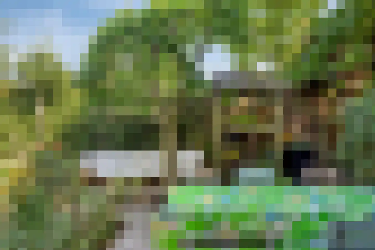Lindelaan 68 Zwijndrecht thumbnail 25