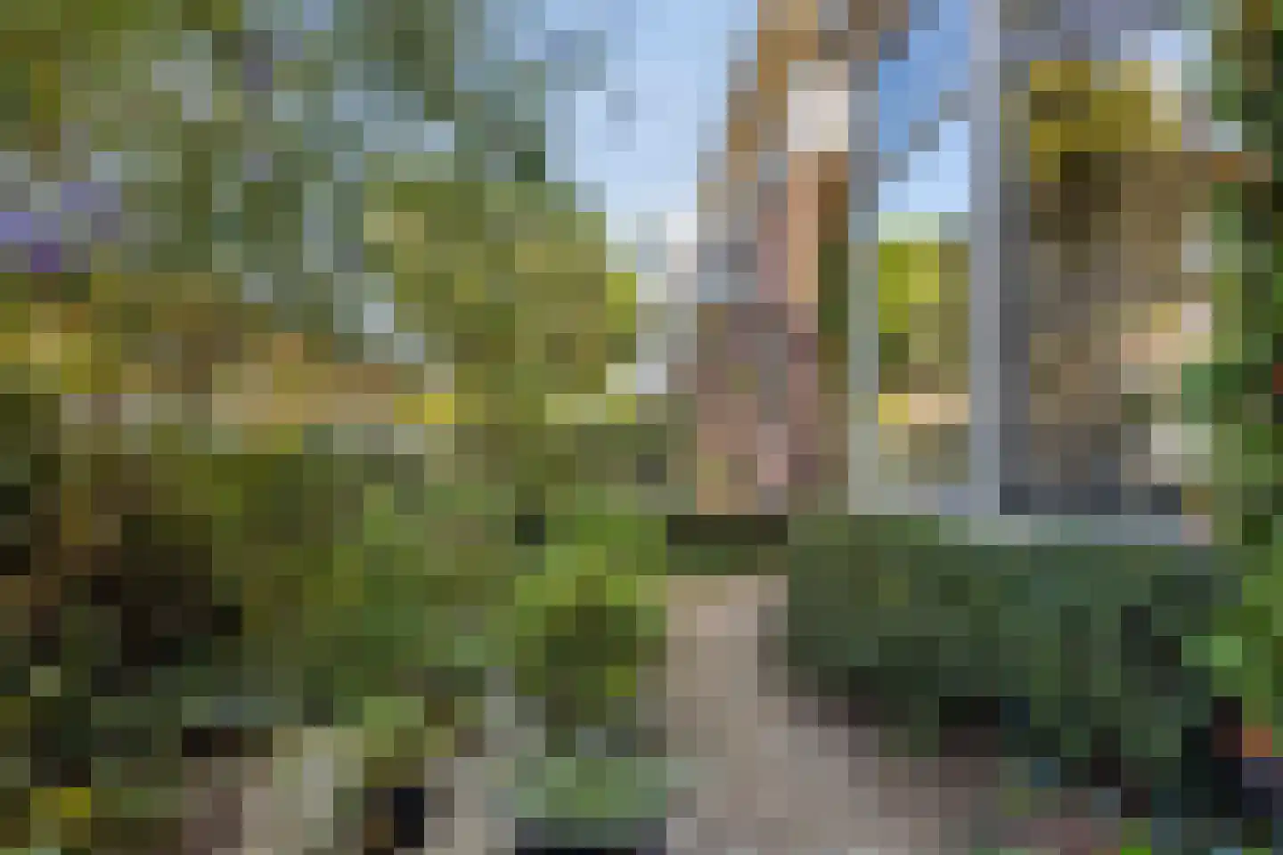 Lindelaan 68 Zwijndrecht thumbnail 5
