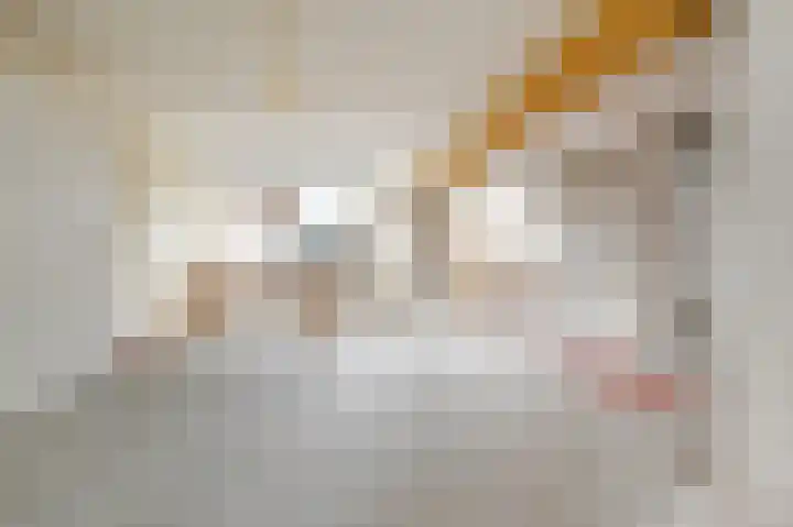 Lindelaan 7 Gouda thumbnail 10