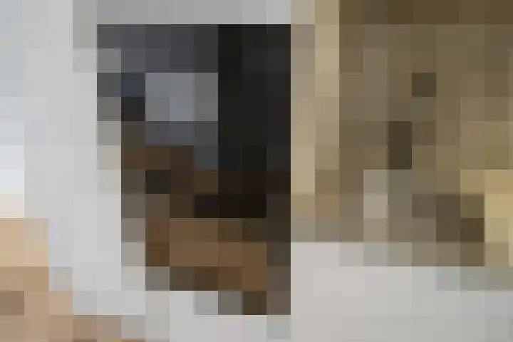 Lindelaan 7 Rijswijk thumbnail 15