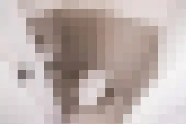 Lindelaan 7 Rijswijk thumbnail 32