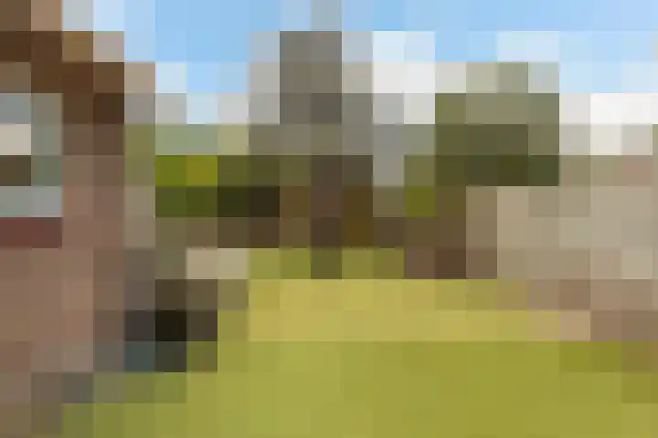 Lindelaan 70 Zwijndrecht thumbnail 30