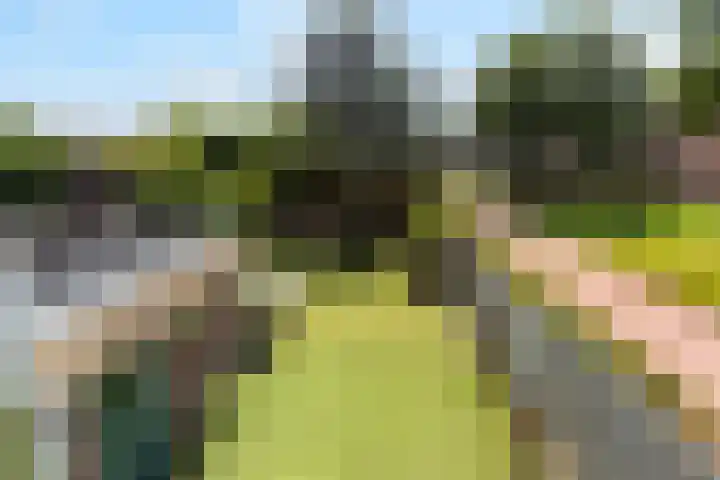 Lindelaan 70 Zwijndrecht thumbnail 31