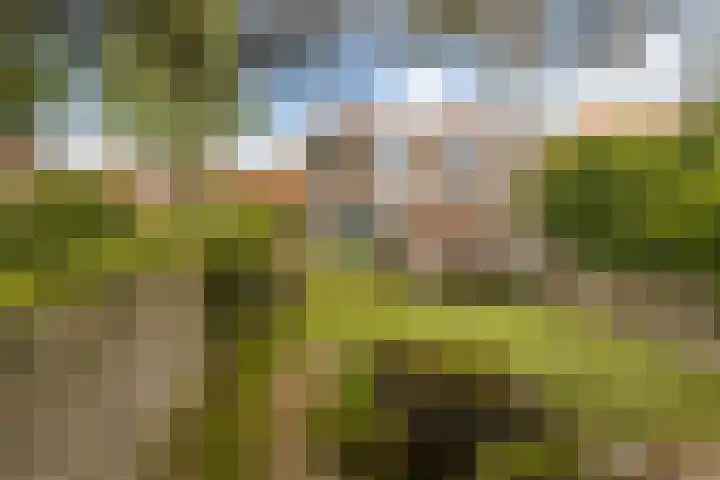 Lindelaan 70 Zwijndrecht thumbnail 32