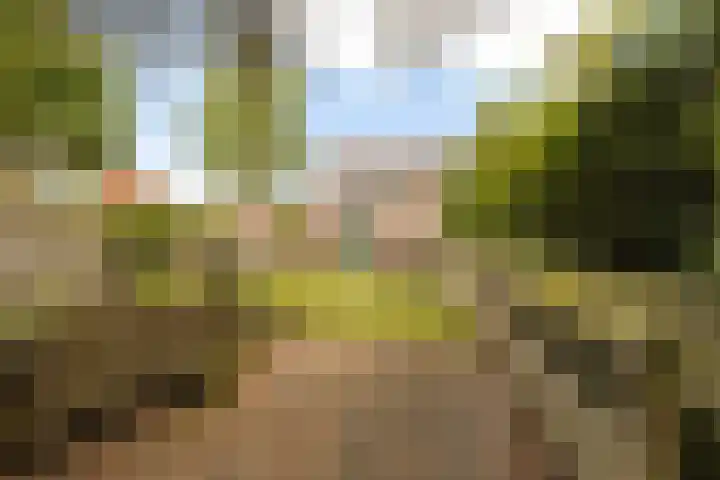Lindelaan 70 Zwijndrecht thumbnail 34