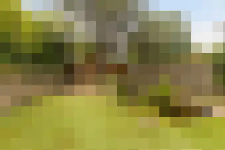 Lindelaan 70 Zwijndrecht thumbnail 35