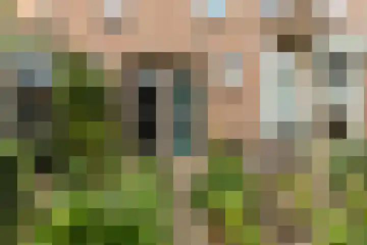 Lindelaan 70 Zwijndrecht thumbnail 36