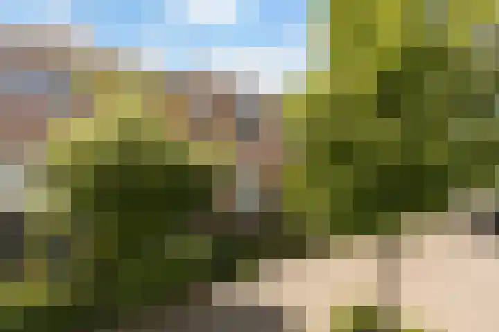 Lindelaan 70 Zwijndrecht thumbnail 37