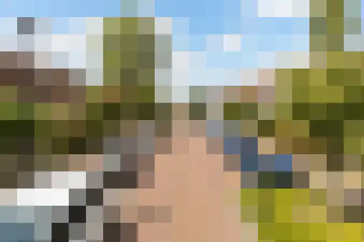 Lindelaan 70 Zwijndrecht thumbnail 38