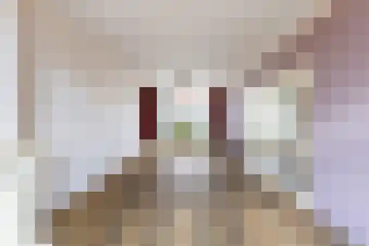 Lindelaan 70 Zwijndrecht thumbnail 7