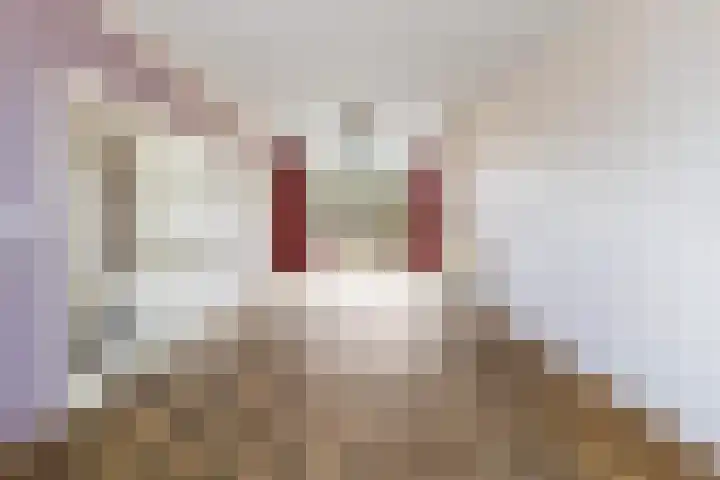 Lindelaan 70 Zwijndrecht thumbnail 8