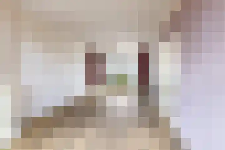 Lindelaan 70 Zwijndrecht thumbnail 9
