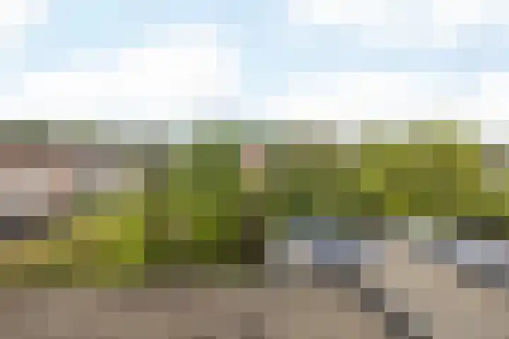 Lindelaan 74 Oirsbeek thumbnail 26