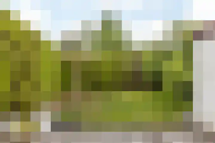 Lindelaan 74 Oirsbeek thumbnail 31
