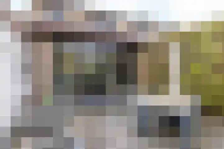 Lindelaan 74 Oirsbeek thumbnail 34