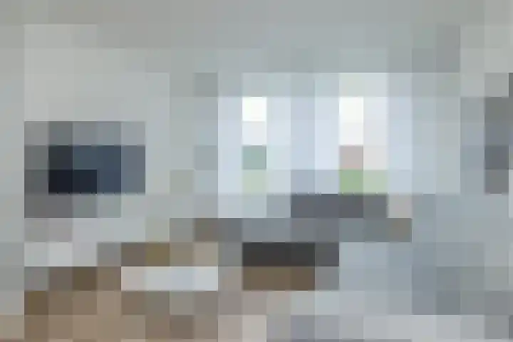 Lindelaan 74 Oirsbeek thumbnail 8