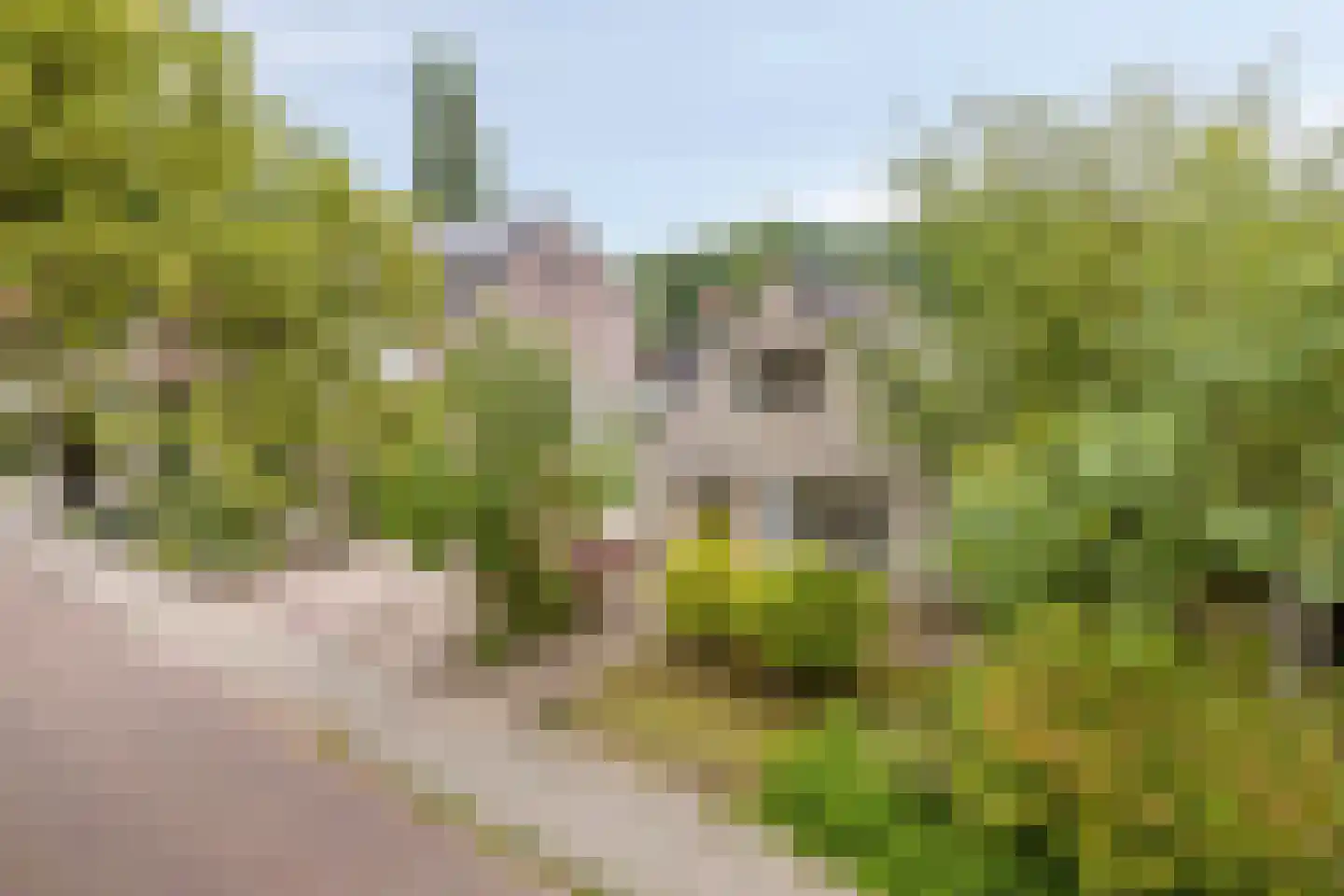Lindelaan 8 Diepenheim