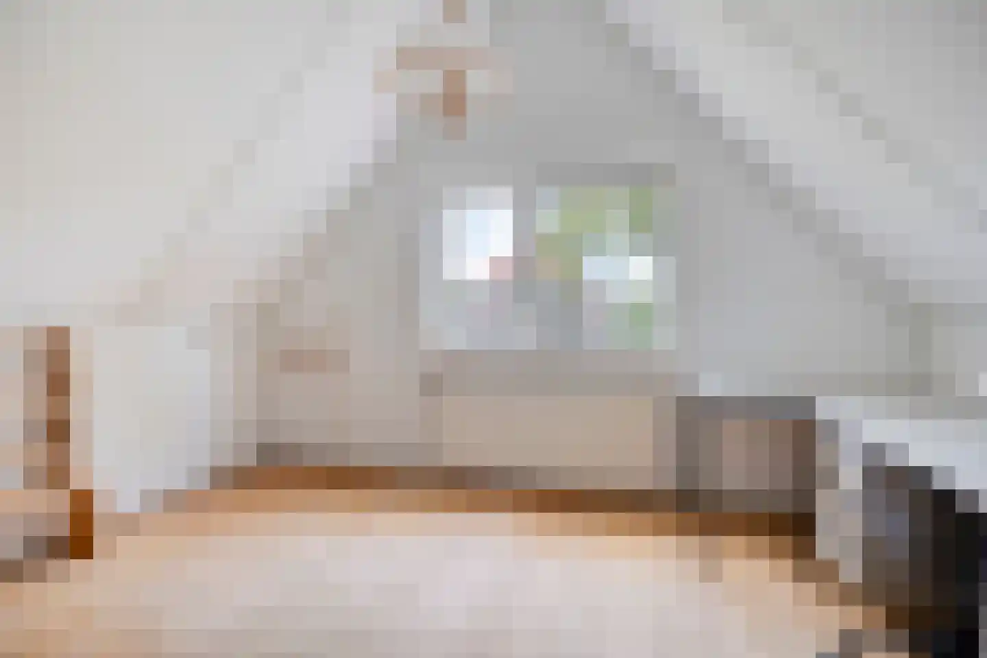 Lindelaan 8 Diepenheim thumbnail 26