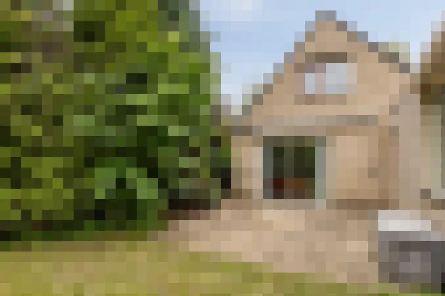 Lindelaan 8 Diepenheim thumbnail 29