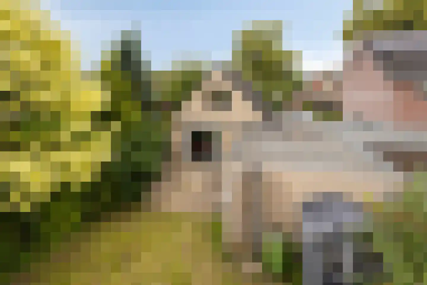 Lindelaan 8 Diepenheim thumbnail 33
