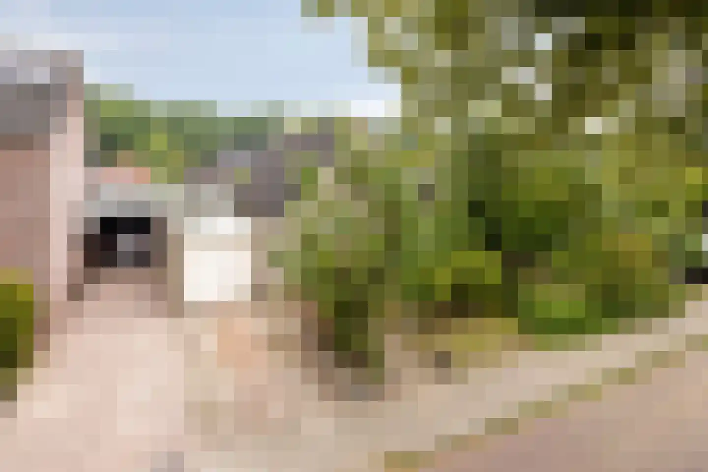 Lindelaan 8 Diepenheim thumbnail 35
