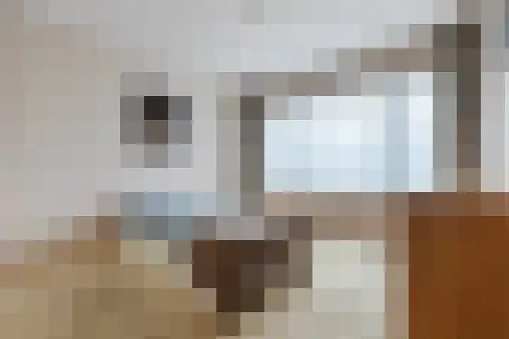 Lindelaan 8 Grootebroek thumbnail 18