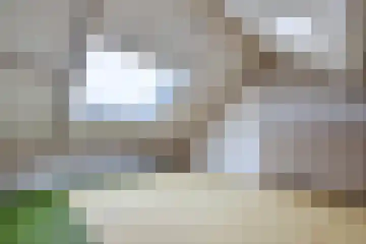 Lindelaan 8 Grootebroek thumbnail 29