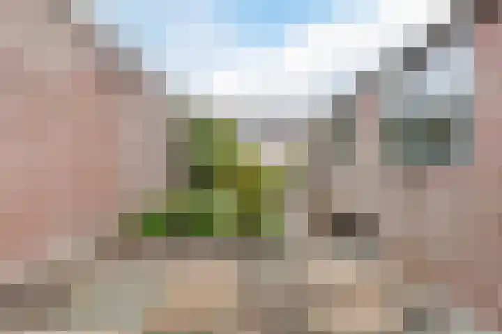 Lindelaan 8 Grootebroek thumbnail 31