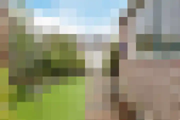 Lindelaan 8 Grootebroek thumbnail 33