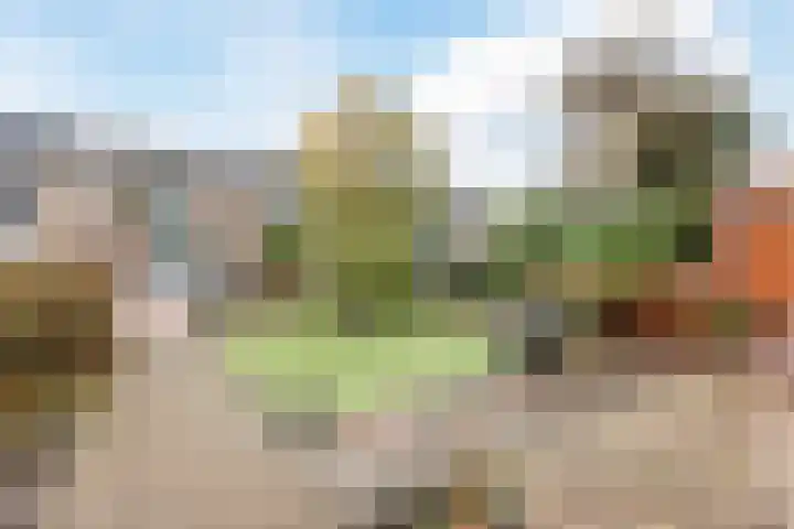 Lindelaan 8 Grootebroek thumbnail 6
