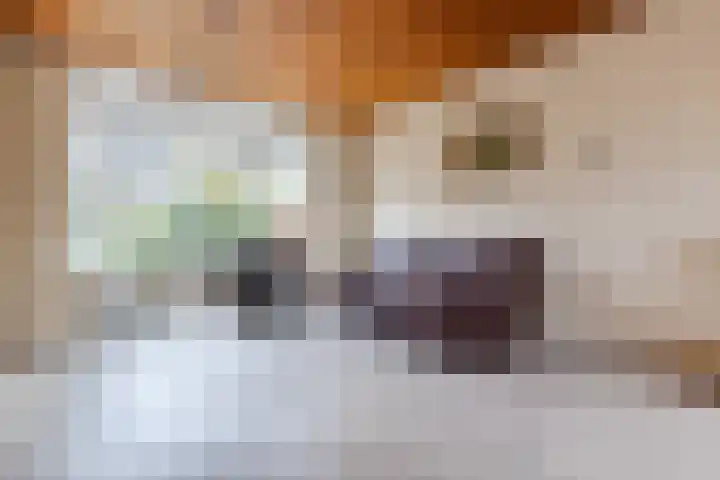 Lindelaan 8 Grootebroek thumbnail 8